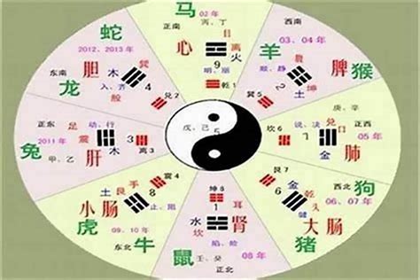 彤的五行|彤字的五行属什么